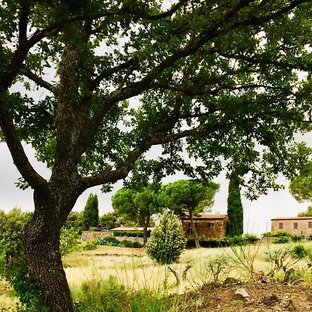 Nocini Di Maremma Villa Tatti Kültér fotó