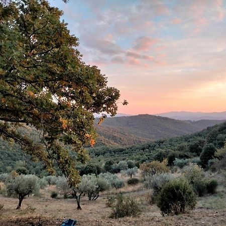 Nocini Di Maremma Villa Tatti Kültér fotó
