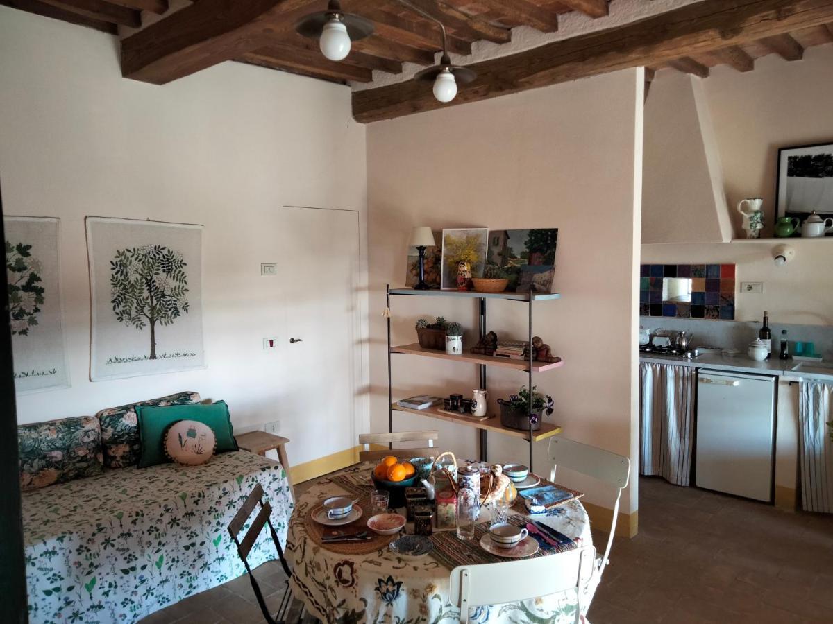 Nocini Di Maremma Villa Tatti Kültér fotó