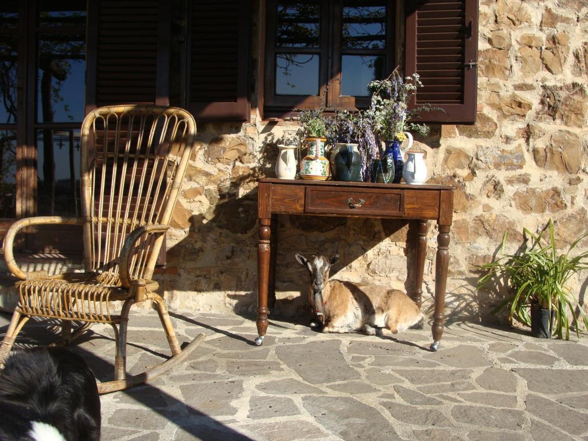 Nocini Di Maremma Villa Tatti Kültér fotó