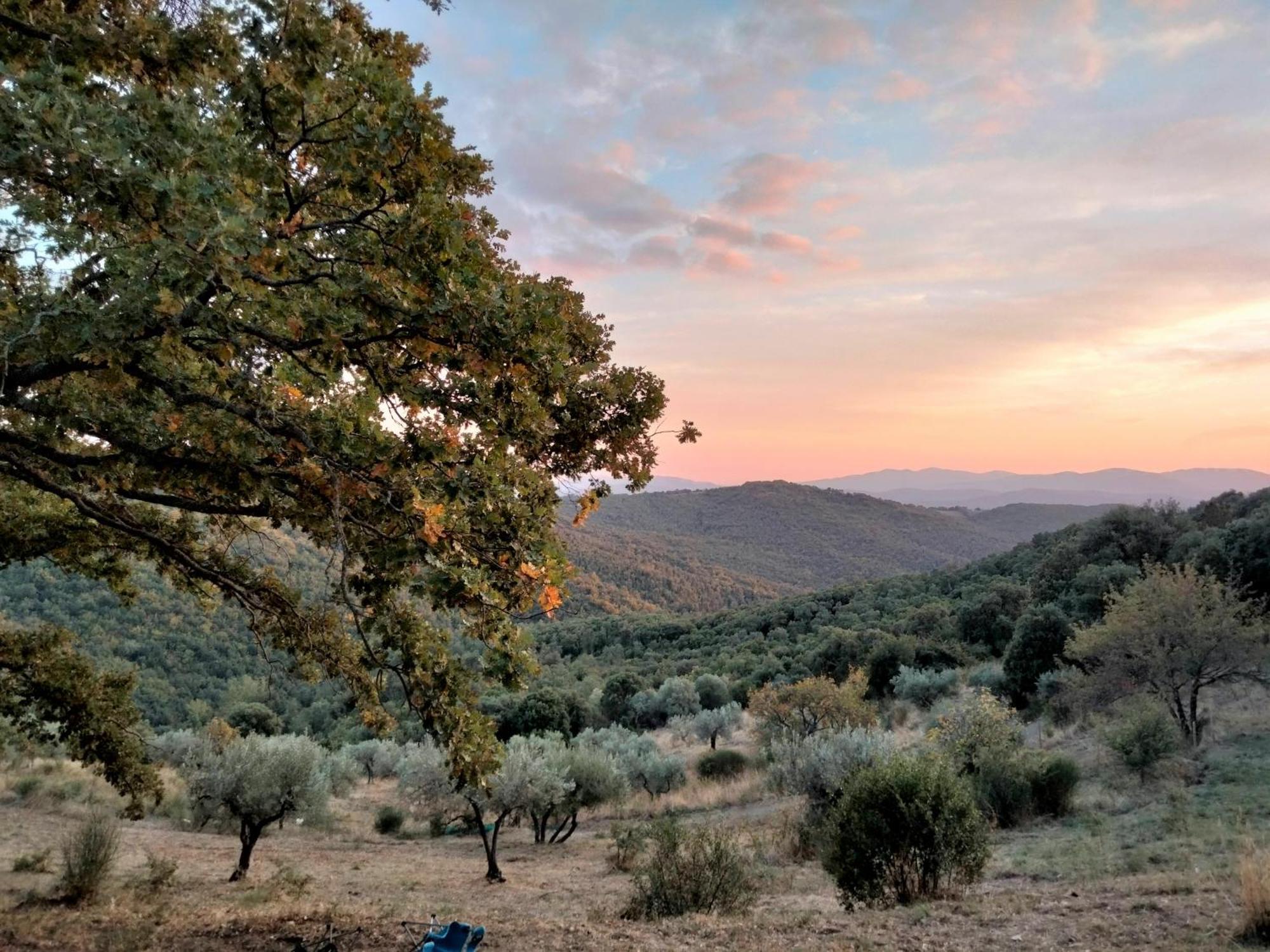 Nocini Di Maremma Villa Tatti Kültér fotó