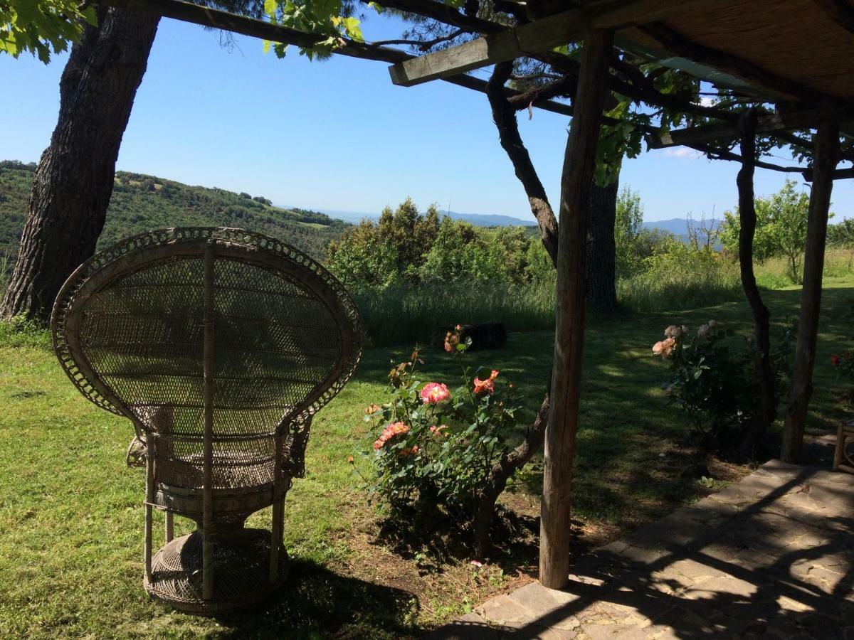 Nocini Di Maremma Villa Tatti Kültér fotó