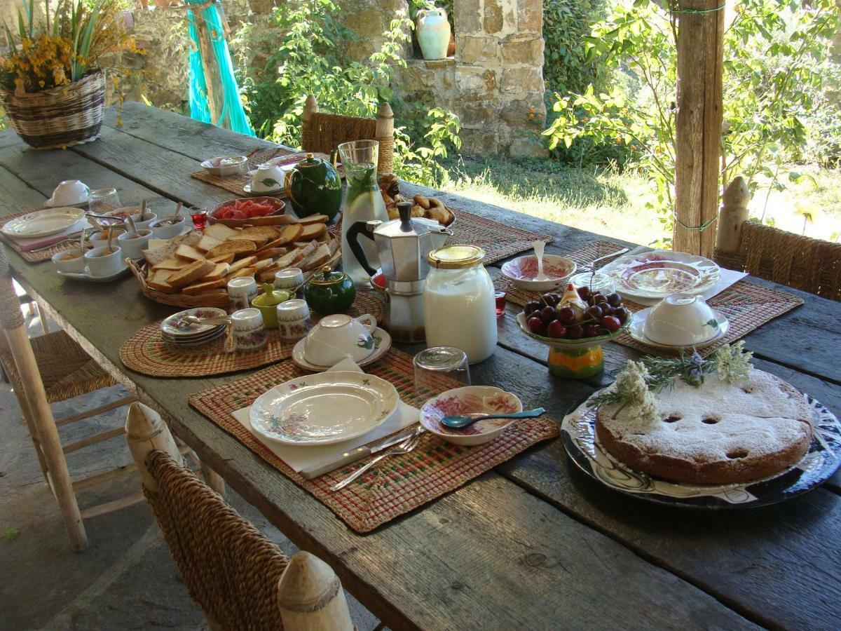 Nocini Di Maremma Villa Tatti Kültér fotó