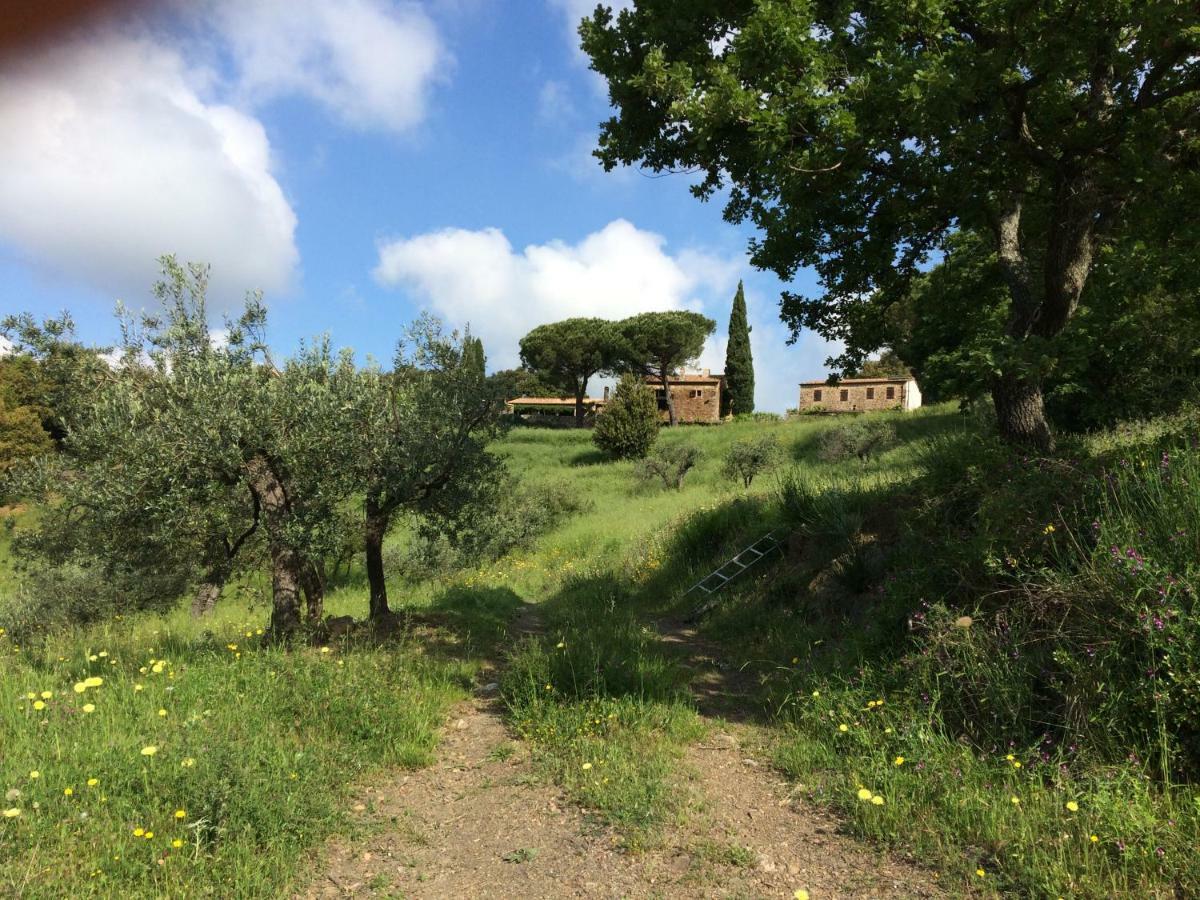 Nocini Di Maremma Villa Tatti Kültér fotó